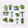 Wallity Set de 12 Cuadros Decorativos MDF Multicolor